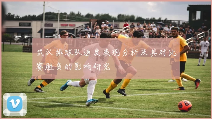 武汉排球队速度表现分析及其对比赛胜负的影响研究