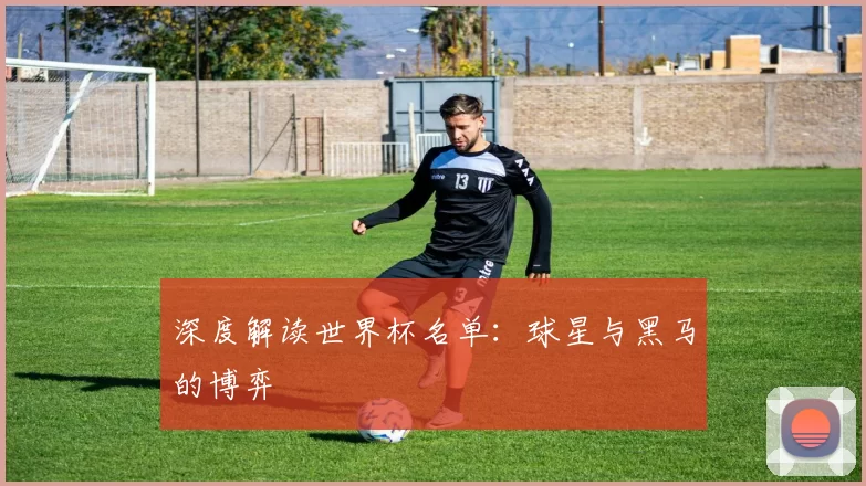 深度解读世界杯名单：球星与黑马的博弈