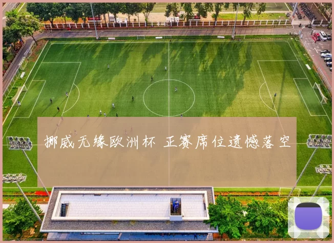 挪威无缘欧洲杯 正赛席位遗憾落空
