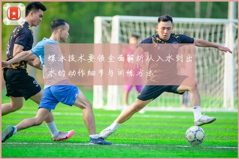 蝶泳技术要领全面解析从入水到出水的动作细节与训练方法