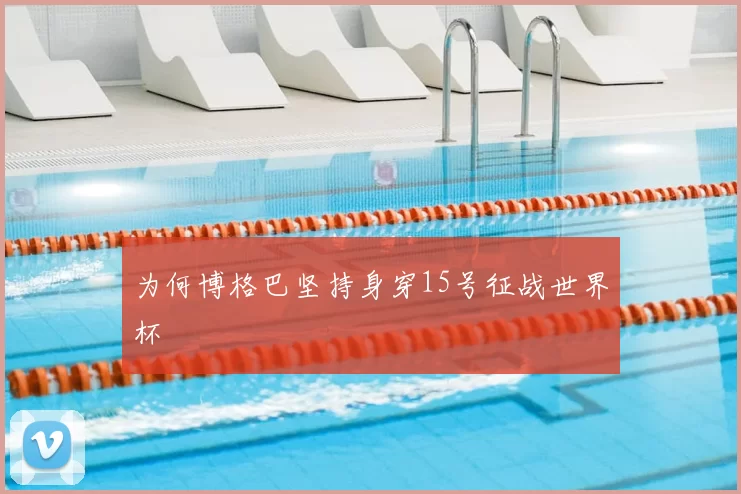 为何博格巴坚持身穿15号征战世界杯