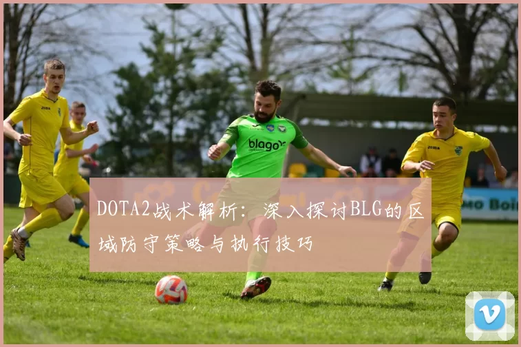 DOTA2战术解析：深入探讨BLG的区域防守策略与执行技巧