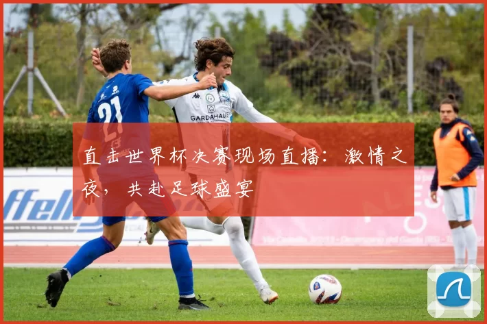 直击世界杯决赛现场直播：激情之夜，共赴足球盛宴