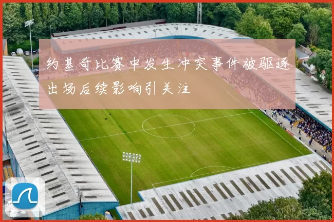 约基奇比赛中发生冲突事件被驱逐出场后续影响引关注