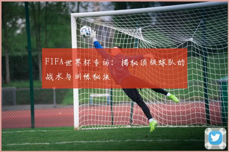 FIFA世界杯专访：揭秘顶级球队的战术与训练秘诀