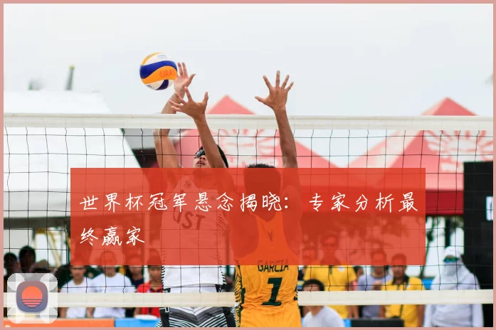 世界杯冠军悬念揭晓：专家分析最终赢家