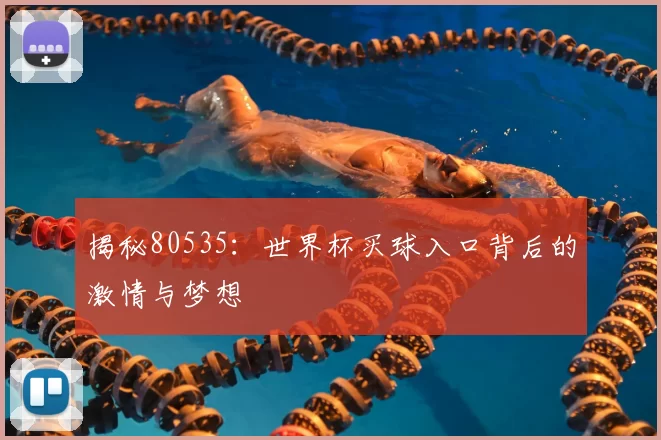 揭秘80535:世界杯买球入口背后的激情与梦想