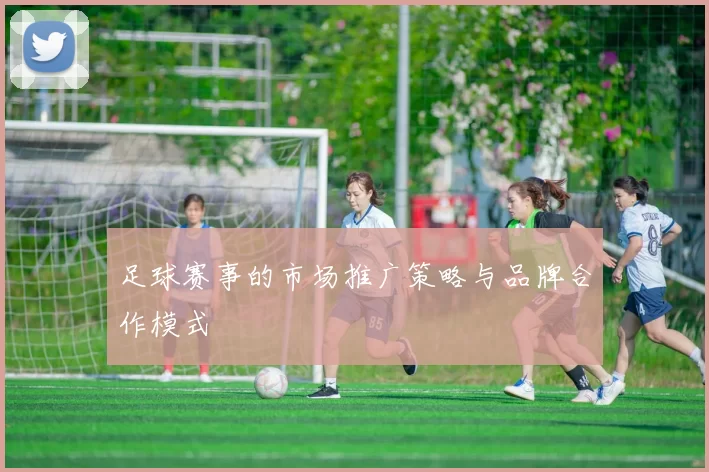 足球赛事的市场推广策略与品牌合作模式