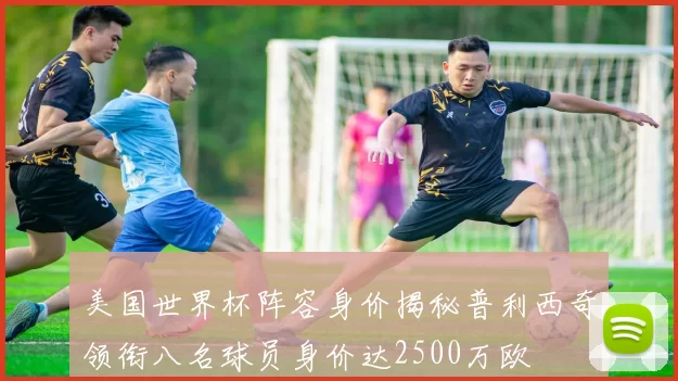 美国世界杯阵容身价揭秘普利西奇领衔八名球员身价达2500万欧