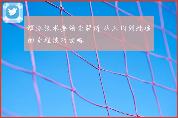 蝶泳技术要领全解析 从入门到精通的全程技巧攻略