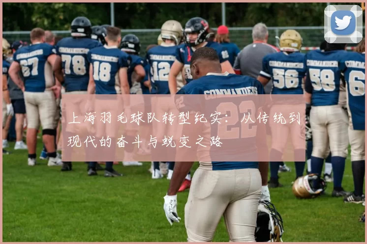 上海羽毛球队转型纪实:从传统到现代的奋斗与蜕变之路
