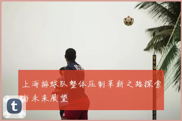 上海排球队整体压制革新之路探索与未来展望