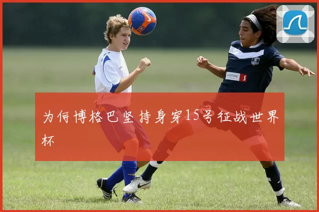 为何博格巴坚持身穿15号征战世界杯